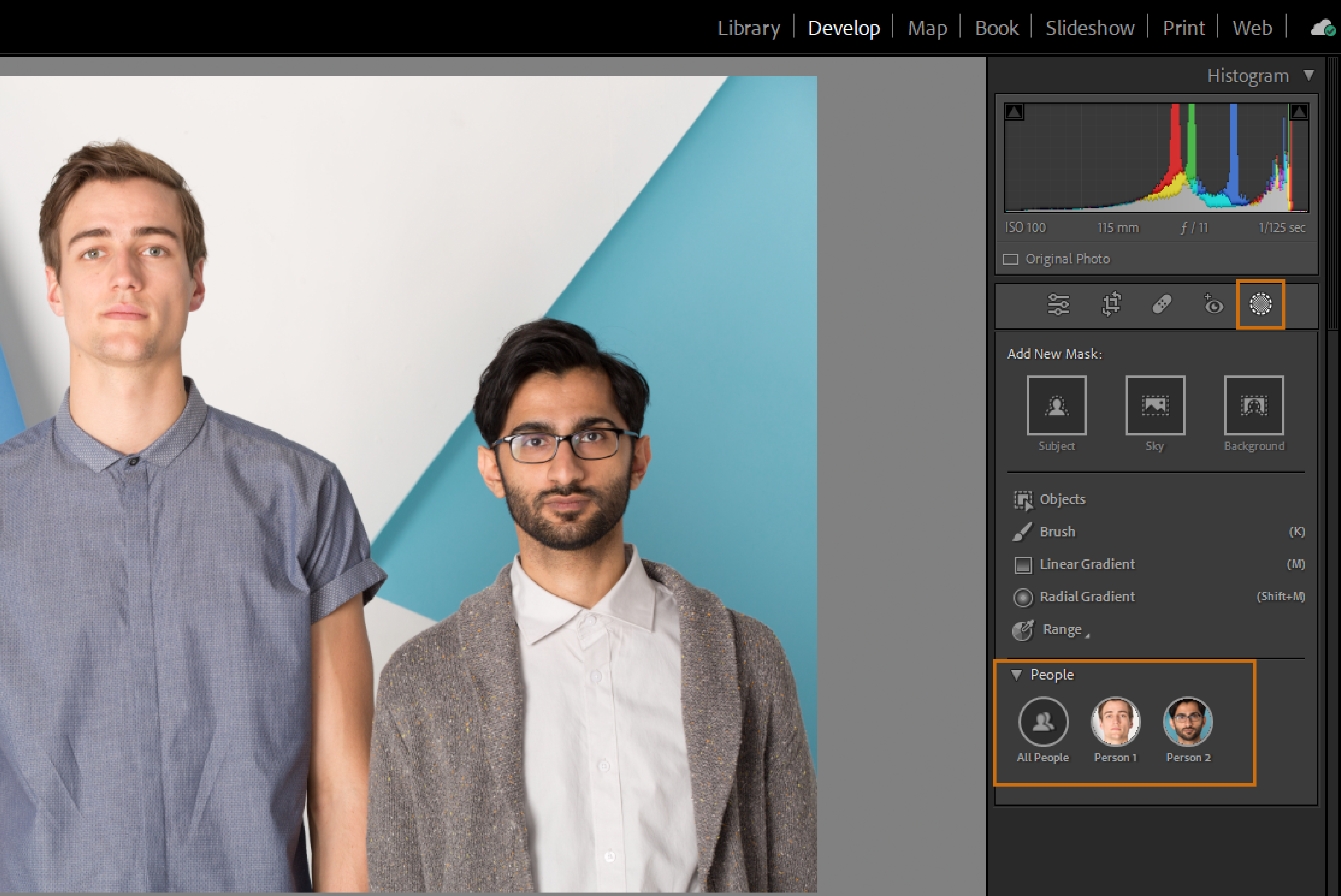 Lightroom Classic Masking tool